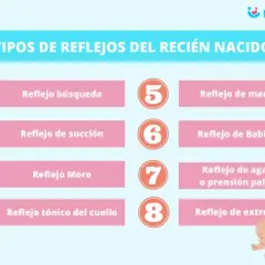 Tabla con los tipos de reflejos del recién nacido: búsqueda, succión, Moro, tónico del cuello, marcha, Babinski, agarre y extrusión.