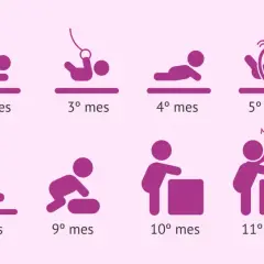 Ilustración muestra el desarrollo de un bebé mes a mes, desde el primer mes hasta el año. Se considera bebé hasta que edad se considera bebe, hasta los 12 meses.
