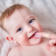 Bebé sonriente con sus primeros dientes siendo limpiados con un cepillo de dedo.