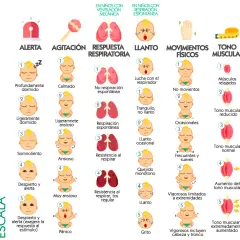 Escala COMFORT: alerta, agitación, respuesta respiratoria, llanto, movimientos, tono muscular, tensión facial. Incluye descripciones de bebés, desde calmos hasta en pánico, como si fueran cacas de bebé.