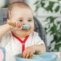 Un bebé de 12 meses, con la cara manchada de comida, intenta alimentarse solo con una cuchara azul.