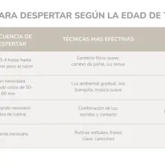 Guía sobre como despertar a un bebe según su edad. Incluye técnicas efectivas y qué evitar para cada etapa, desde recién nacidos hasta más de 12 meses.