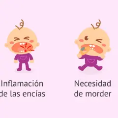 Ilustraciones de bebés que muestran síntomas cuando empiezan a salir los dientes: babeo, encías inflamadas, necesidad de morder y llanto.