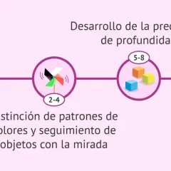 Los ojos de bebés recién nacidos se adaptan a la luz, distinguen patrones y desarrollan percepción de profundidad.