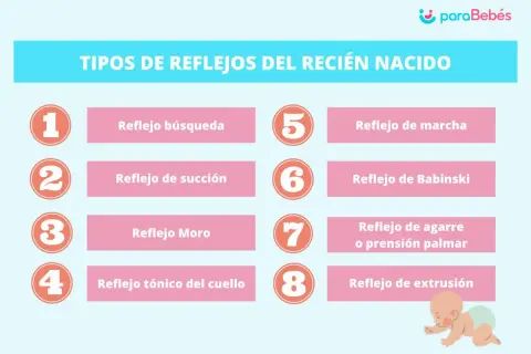 Tabla con los tipos de reflejos del recién nacido: búsqueda, succión, Moro, tónico del cuello, marcha, Babinski, agarre y extrusión.