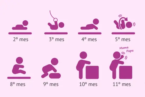 Ilustración muestra el desarrollo de un bebé mes a mes, desde el primer mes hasta el año. Se considera bebé hasta que edad se considera bebe, hasta los 12 meses.