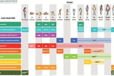 Calendario de vacunación infantil, mostrando la vacuna bebes y otras dosis para diferentes edades.