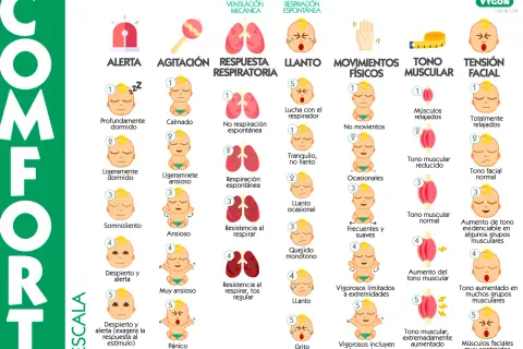 Escala COMFORT: alerta, agitación, respuesta respiratoria, llanto, movimientos, tono muscular, tensión facial. Incluye descripciones de bebés, desde calmos hasta en pánico, como si fueran cacas de bebé.