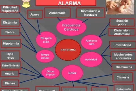 Diagrama de signos de alarma en un bebé. Muestra síntomas como dificultad respiratoria, fiebre, apnea, succión pobre, y otros, relacionados con un "ENFERMO". Un pie recién nacido es un indicador clave.