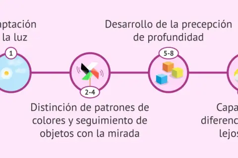 Los ojos de bebés recién nacidos se adaptan a la luz, distinguen patrones y desarrollan percepción de profundidad.