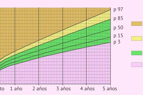 Gráfica de percentil niños 2 a 20 años, muestra peso vs edad. Zonas: bajo peso, normal, riesgo de sobrepeso y sobrepeso.