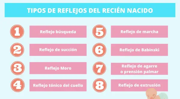 Tabla con los tipos de reflejos del recién nacido: búsqueda, succión, Moro, tónico del cuello, marcha, Babinski, agarre y extrusión.