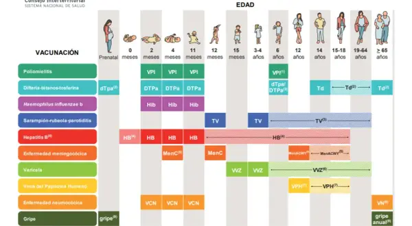 Calendario de vacunación infantil, mostrando la vacuna bebes y otras dosis para diferentes edades.