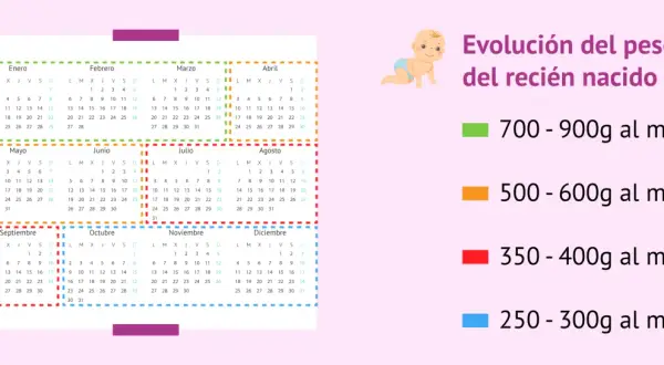 Calendario con evolución del peso del bebé: 700-900g al mes.