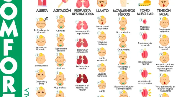 Escala COMFORT: alerta, agitación, respuesta respiratoria, llanto, movimientos, tono muscular, tensión facial. Incluye descripciones de bebés, desde calmos hasta en pánico, como si fueran cacas de bebé.