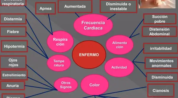 Diagrama de signos de alarma en un bebé. Muestra síntomas como dificultad respiratoria, fiebre, apnea, succión pobre, y otros, relacionados con un "ENFERMO". Un pie recién nacido es un indicador clave.