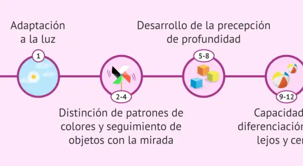 Los ojos de bebés recién nacidos se adaptan a la luz, distinguen patrones y desarrollan percepción de profundidad.