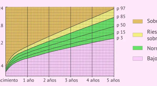 Gráfica de percentil niños 2 a 20 años, muestra peso vs edad. Zonas: bajo peso, normal, riesgo de sobrepeso y sobrepeso.