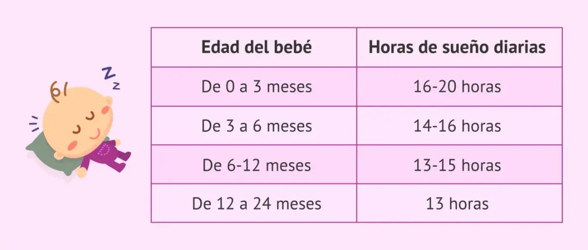 Ilustración de un bebé durmiendo junto a una tabla que muestra cómo duermen los bebés según su edad, indicando las horas de sueño diarias.