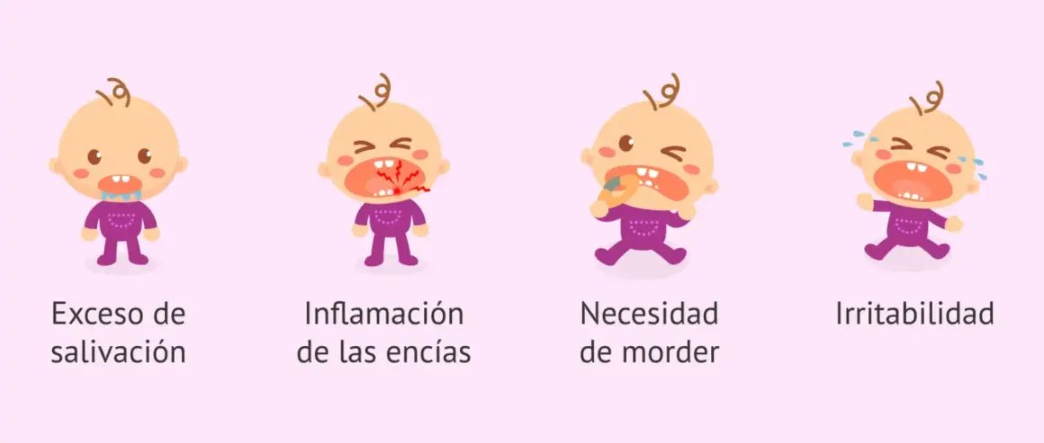 Ilustraciones de bebés que muestran síntomas cuando empiezan a salir los dientes: babeo, encías inflamadas, necesidad de morder y llanto.