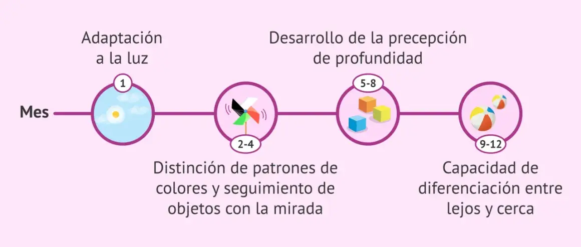 Los ojos de bebés recién nacidos se adaptan a la luz, distinguen patrones y desarrollan percepción de profundidad.