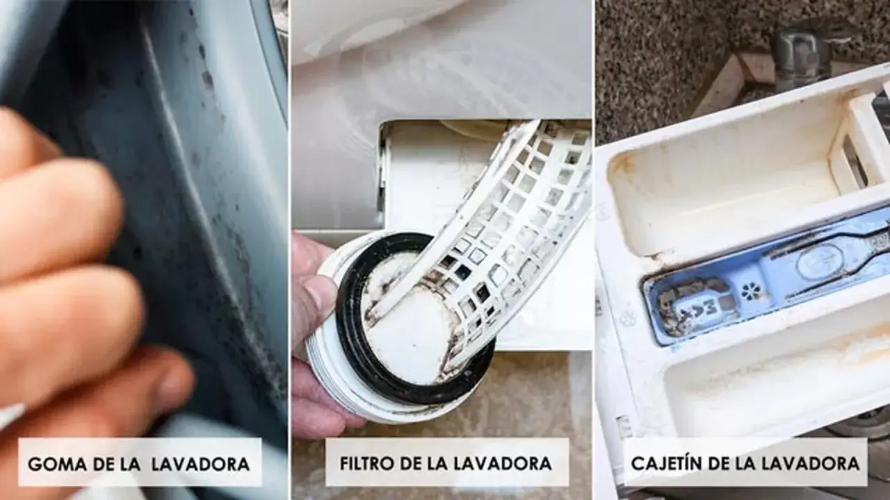 La goma, el filtro y el cajet&iacute;n de la lavadora est&aacute;n sucios. &iexcl;Por eso me sale la ropa sucia de la lavadora!