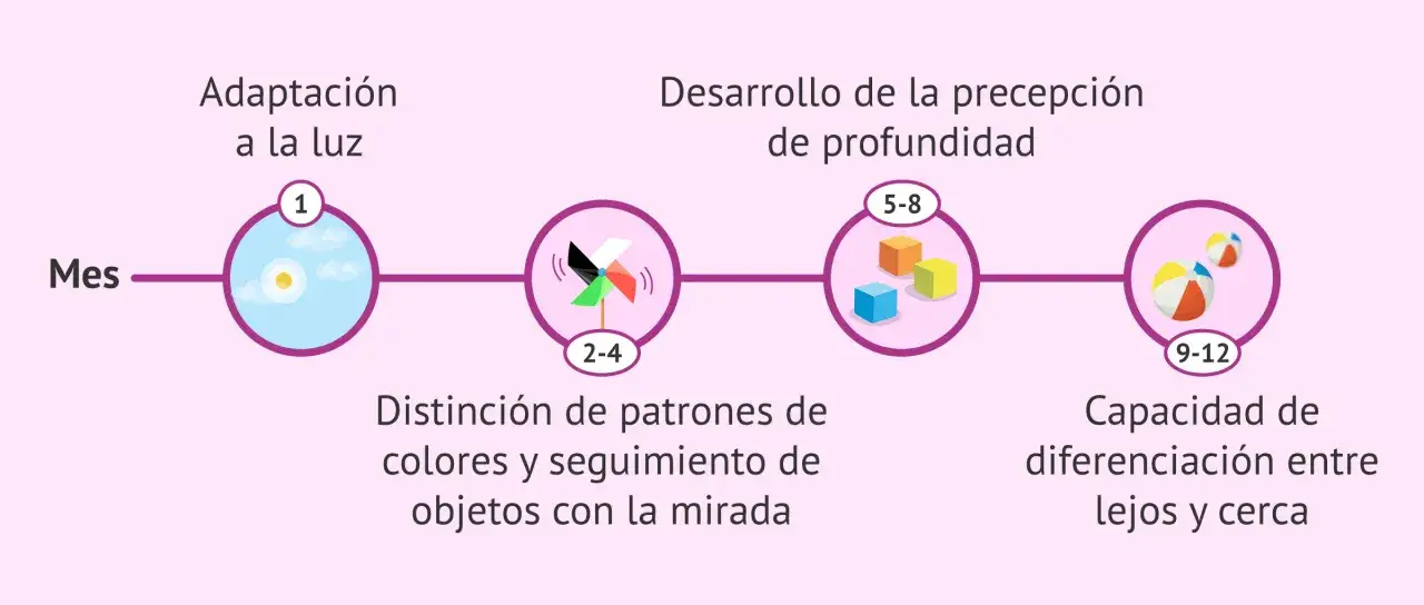 Los ojos de beb&eacute;s reci&eacute;n nacidos desarrollan la adaptaci&oacute;n a la luz, distinguen patrones y siguen objetos, perciben profundidad y diferencian lejos/cerca.