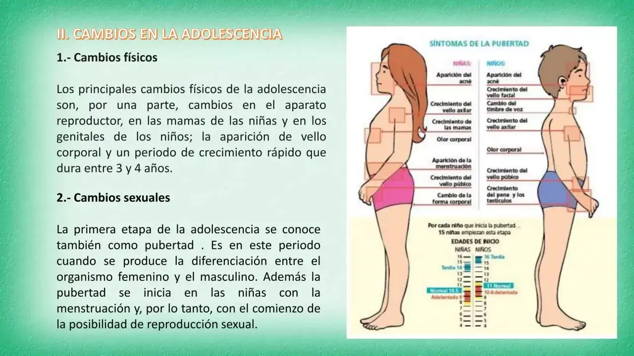 Ilustraci&oacute;n de los cambios f&iacute;sicos y sexuales cuando empieza la adolescencia, mostrando diferencias entre ni&ntilde;as y ni&ntilde;os.