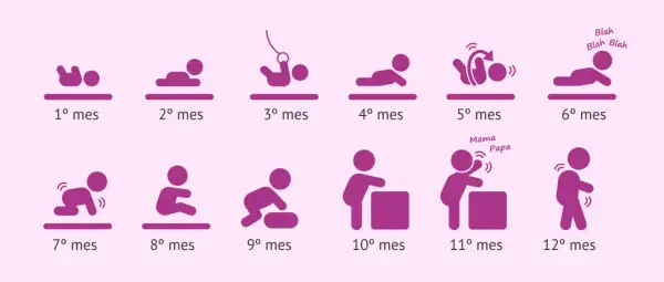 Ilustración muestra el desarrollo de un bebé mes a mes, desde el primer mes hasta el año. Se considera bebé hasta que edad se considera bebe, hasta los 12 meses.
