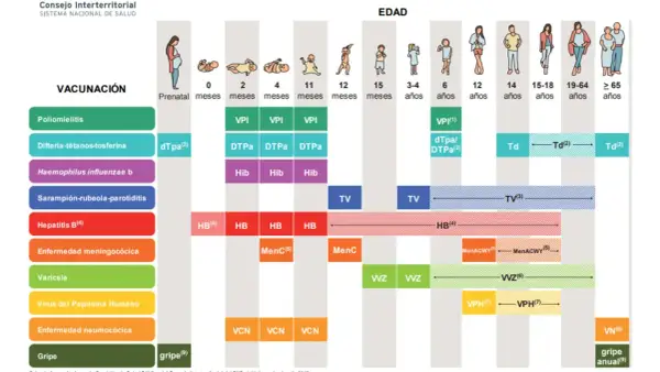 Calendario de vacunación infantil, mostrando la vacuna bebes y otras dosis para diferentes edades.