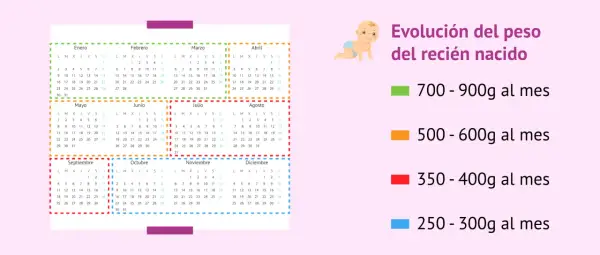 Calendario con evolución del peso del bebé: 700-900g al mes.
