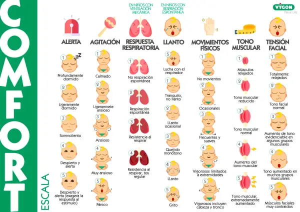Escala COMFORT: alerta, agitación, respuesta respiratoria, llanto, movimientos, tono muscular, tensión facial. Incluye descripciones de bebés, desde calmos hasta en pánico, como si fueran cacas de bebé.