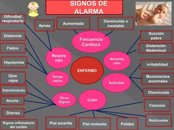 Diagrama de signos de alarma en un bebé. Muestra síntomas como dificultad respiratoria, fiebre, apnea, succión pobre, y otros, relacionados con un "ENFERMO". Un pie recién nacido es un indicador clave.